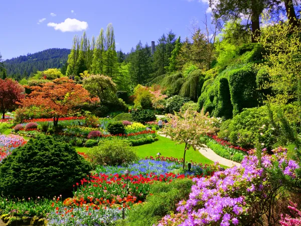 Butchart Gardens