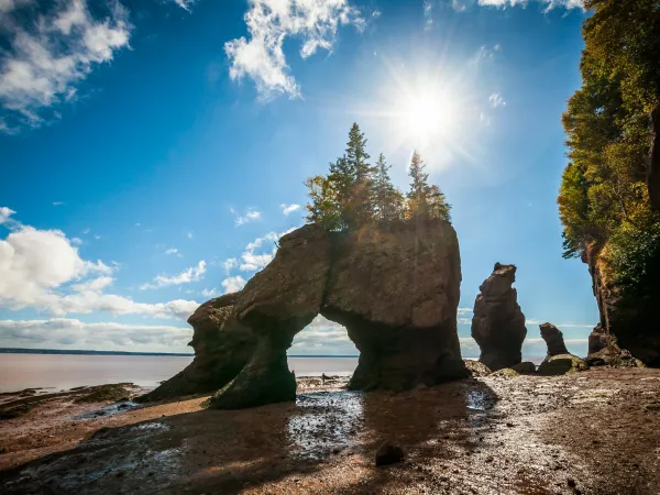 Hopewell Rocks