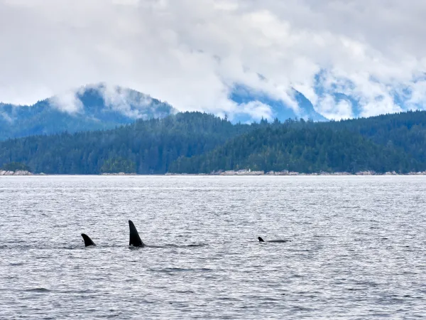 Inside Passage