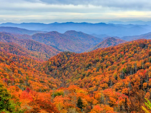 Smoky Mountains