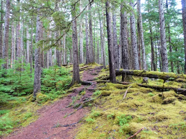 Haida Gwaii Trail