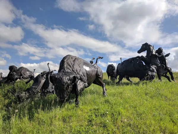 Tatanka Story of the Bison