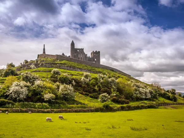 Rock of Cashel