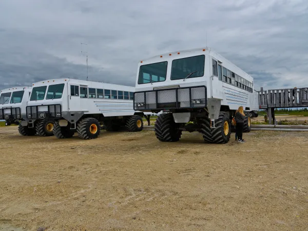 Tundra Buggy