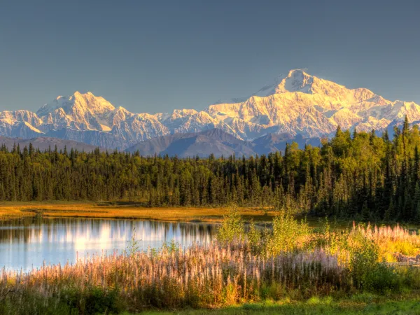 Denali Sunrise