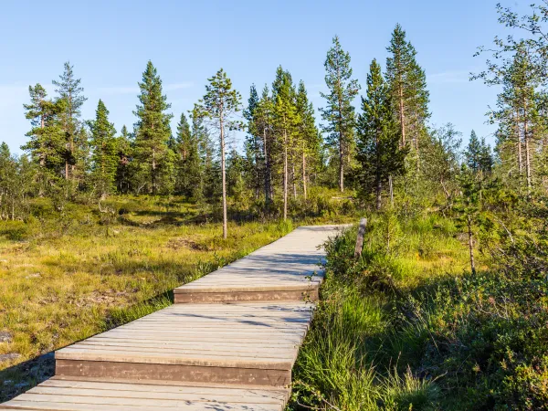 Urho Kekkonen National Park