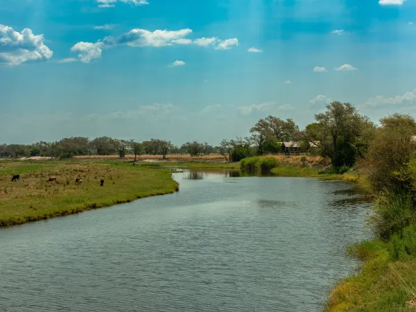 Chobe River