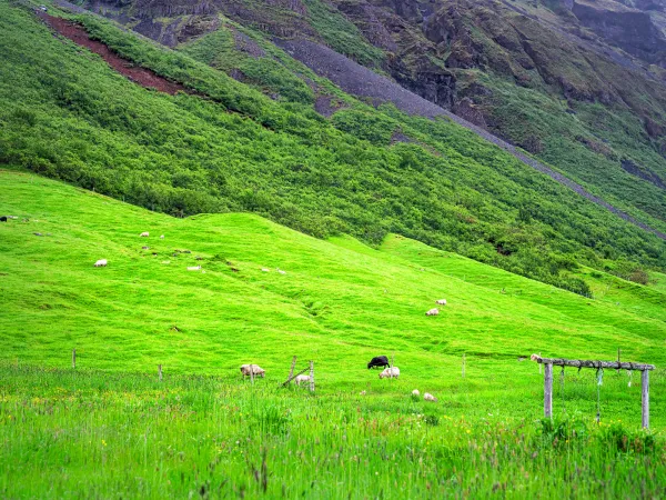 Farmland of Húnavatnssýsla