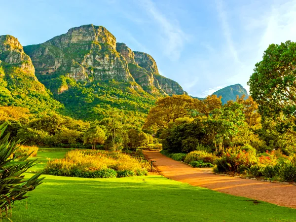 Kirstenbosch National Botanical Garden