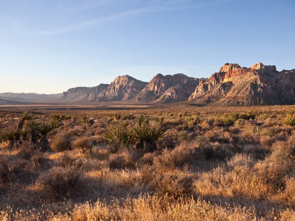 Red Rock Canyon