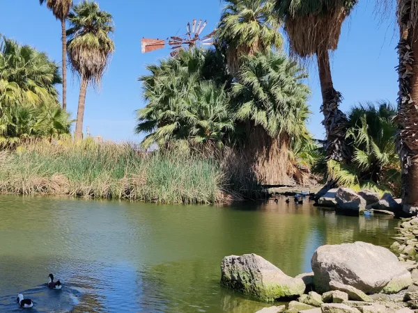 Yuma Conservation Garden