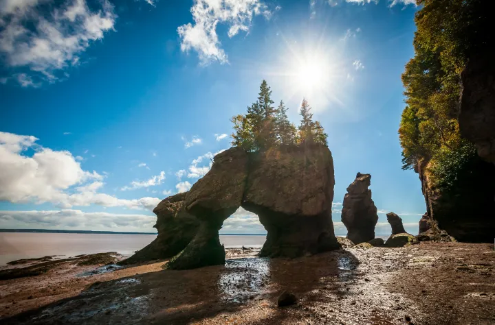 Hopewell Rocks