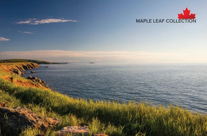 Cabot Trail Maple Leaf